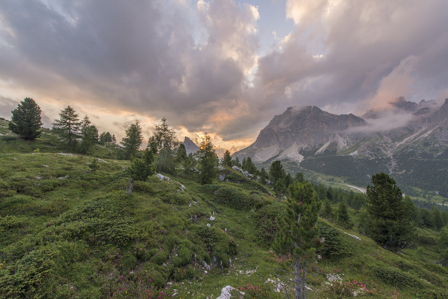 National Parks Fee Free Days in August - Part 3