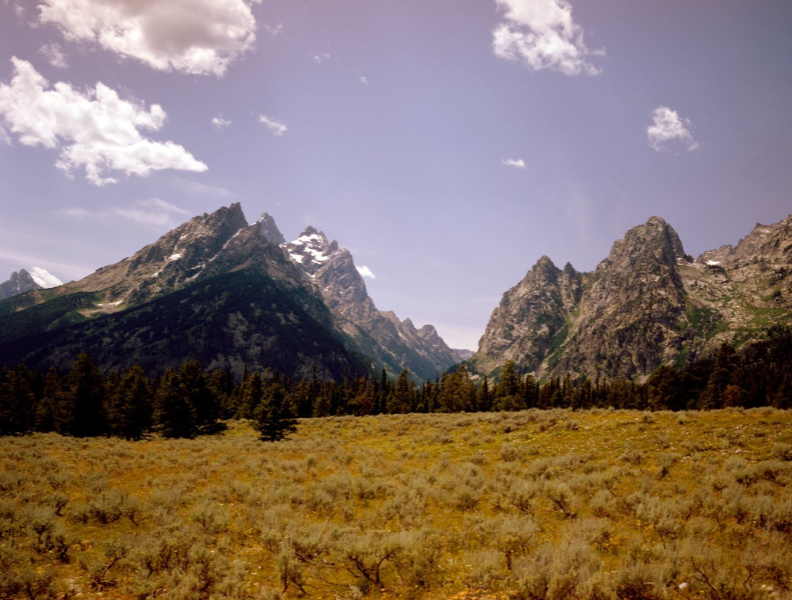 NATIONAL WILDLIFE REFUGE WEEK