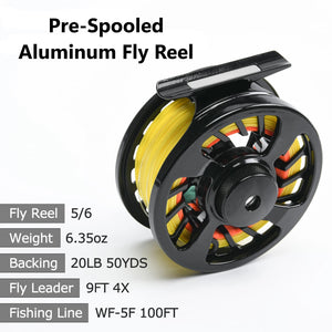 Fly Fishing Reel Combo Set with Artificial Flies