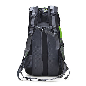 Rear View of 50L Lightweight Durable Backpack