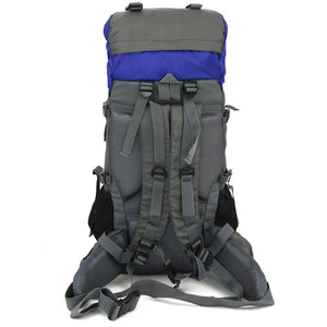 Back of Blue 60L Durable Heavy-duty Backpack