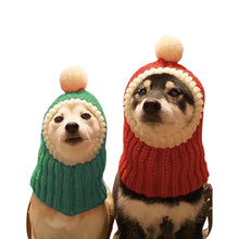 Load image into Gallery viewer, 1 dog with green hat and 1 dog with red hat
