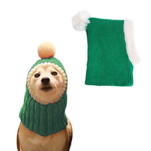 Load image into Gallery viewer, Green hat on dog and displayed
